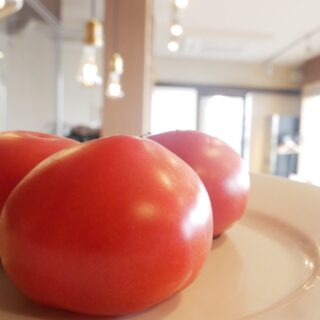 イタリア食堂まんまです🙂 当店はお子様も大歓迎！！ ぜひお子様…